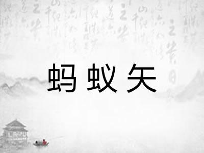 蚂蚁矢