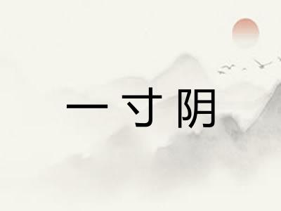 一寸阴