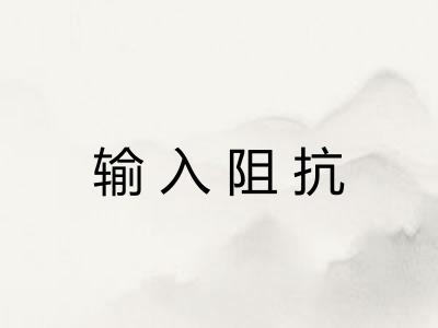 输入阻抗