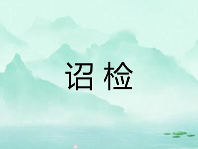 诏检