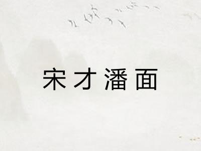 宋才潘面