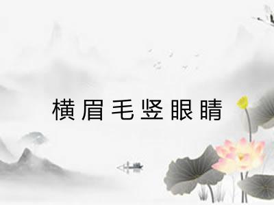 横眉毛竖眼睛