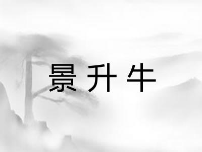 景升牛
