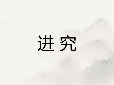 进究