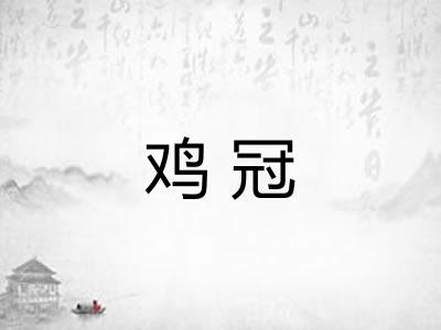 鸡冠