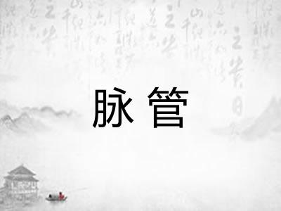 脉管