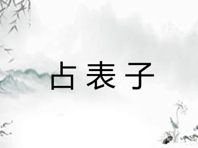占表子