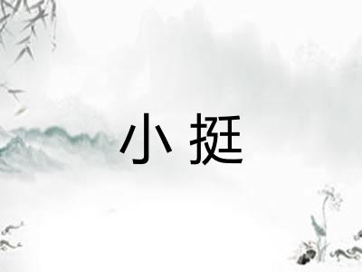 小挺
