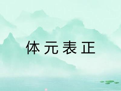 体元表正