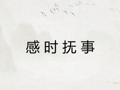 感时抚事