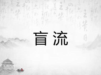 盲流