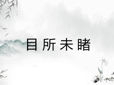 目所未睹