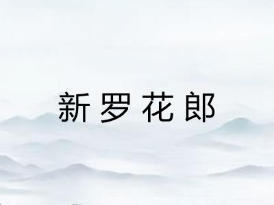 新罗花郎