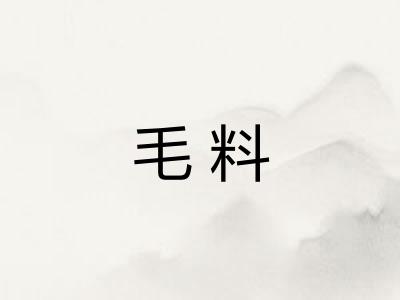 毛料