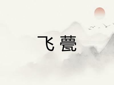 飞甍