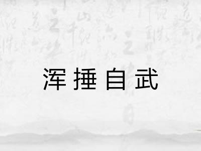 浑捶自武