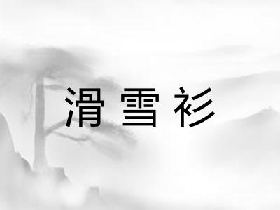 滑雪衫