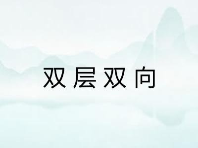 双层双向