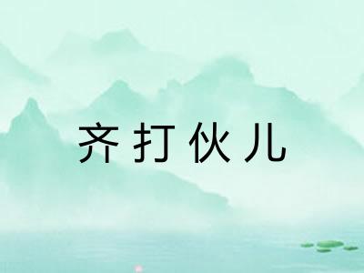 齐打伙儿