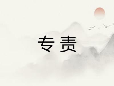 专责