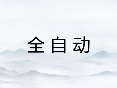全自动