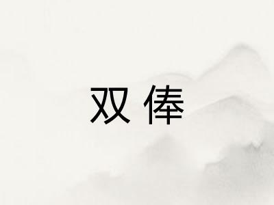 双俸