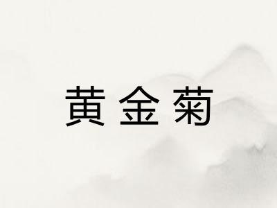 黄金菊