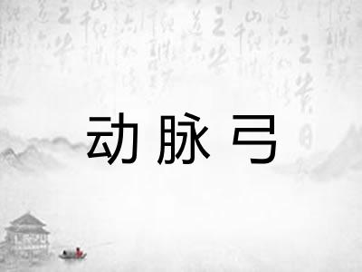 动脉弓