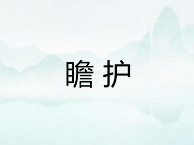 瞻护