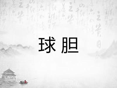 球胆