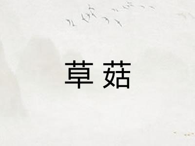 草菇