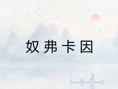 奴弗卡因