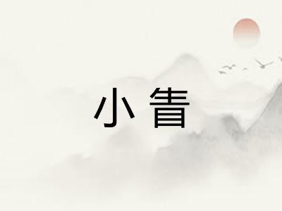 小眚