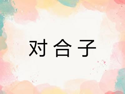 对合子