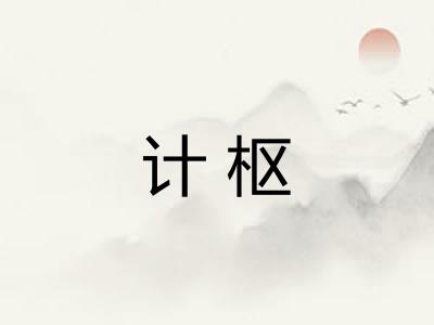 计枢