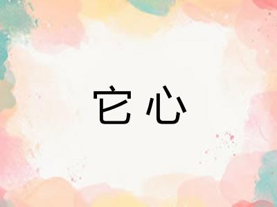 它心