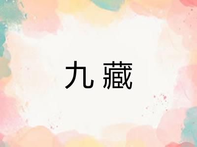 九藏