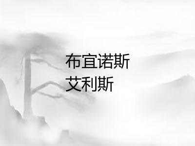 布宜诺斯艾利斯