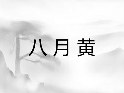 八月黄