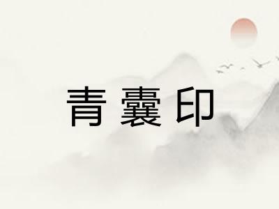 青囊印