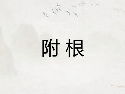 附根
