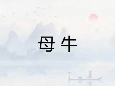 母牛