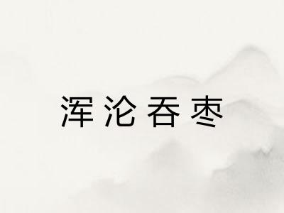 浑沦吞枣