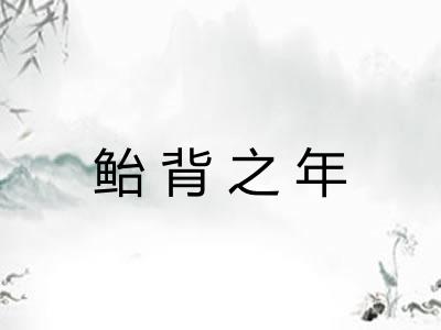 鲐背之年