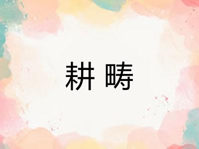 耕畴