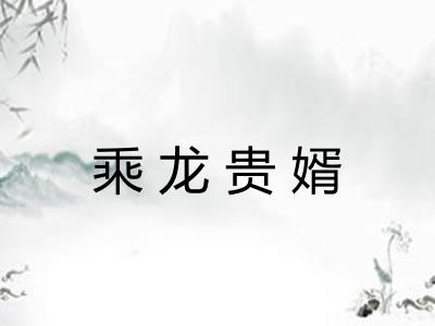 乘龙贵婿