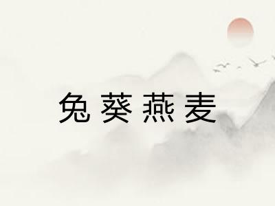 兔葵燕麦