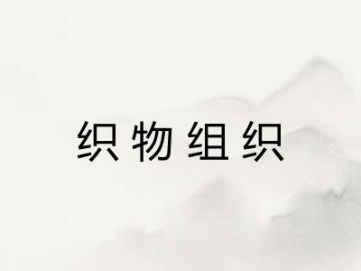 织物组织