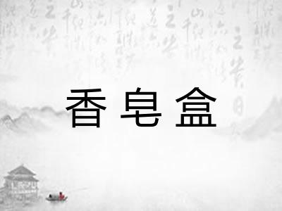 香皂盒