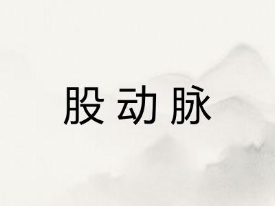 股动脉